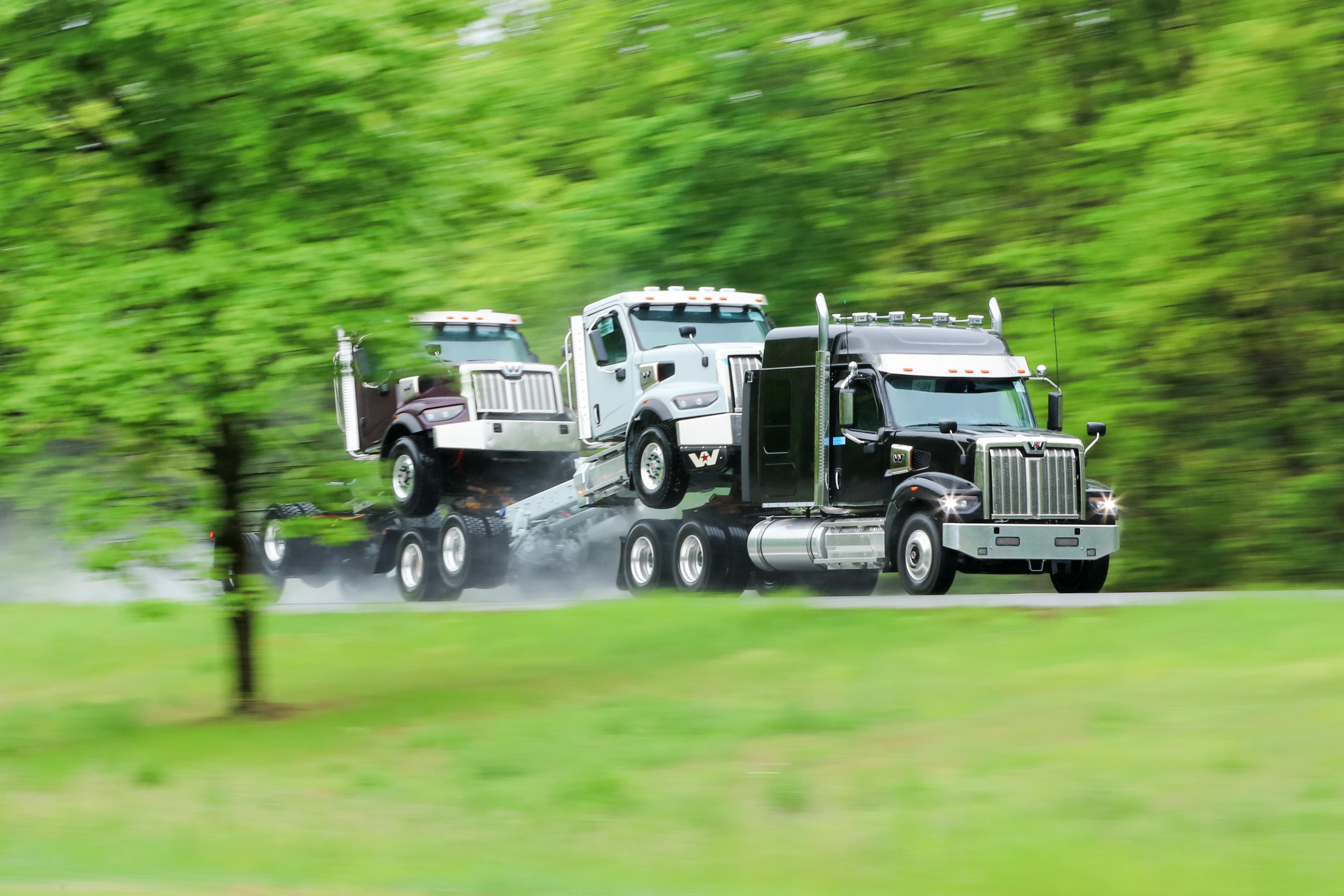 Black semi-truck hauling two commercial vehicles on a car carrier trailer, traveling on a highway with lush green vegetation in the background, motion blur effect visible